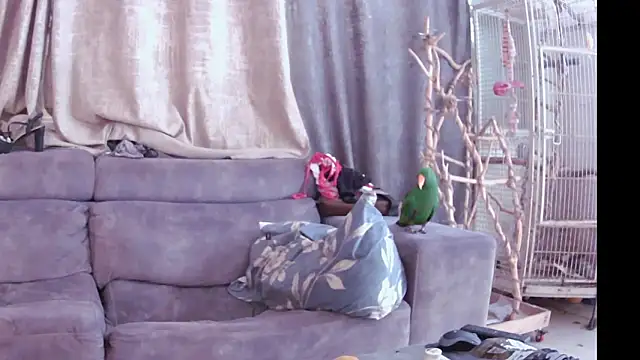 Snapshot of Alexis21821 chatting on 11/13/25, 07:18 Alexis21821 online show from 11/13/25, 07:18