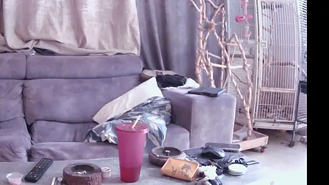 Snapshot of Alexis21821 chatting on 11/14/25, 10:47 Alexis21821 online show from 11/14/25, 10:47