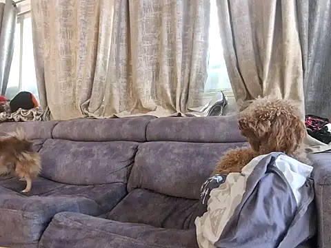 Snapshot of Alexis21821 chatting on 12/03/25, 07:05 Alexis21821 online show from 12/03/25, 07:05