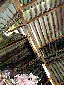 Snapshot of lyuyenkk chatting on 11/03/25, 01:08 lyuyenkk online show from 11/03/25, 01:08