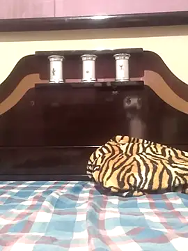 Snapshot of Cachorrinha2025 chatting on 11/13/25, 08:30 Cachorrinha2025 online show from 11/13/25, 08:30