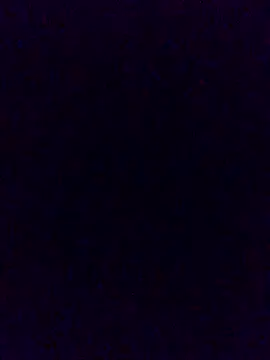 Snapshot of Cachorrinha2025 chatting on 11/21/25, 02:05 Cachorrinha2025 online show from 11/21/25, 02:05