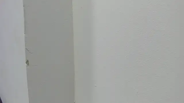 Snapshot of abbiecollins_js chatting on 03/28/26, 04:23 abbiecollins js online show from 03/28/26, 04:23