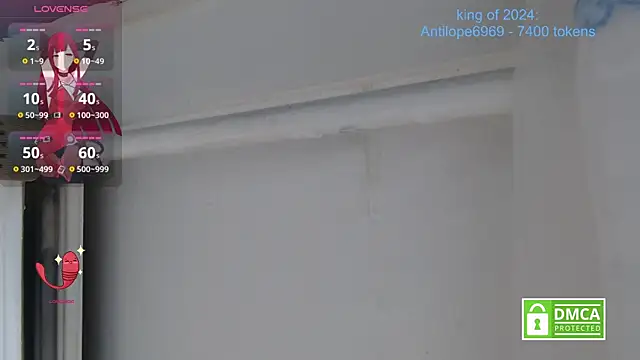 Snapshot of CharmingEva_ chatting on 12/30/24, 03:47 CharmingEva online show from 12/30/24, 03:47