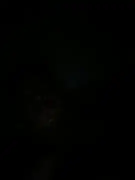 Snapshot of RangingWarranty chatting on 10/20/25, 07:20 RangingWarranty online show from 10/20/25, 07:20