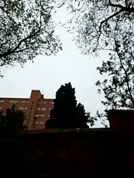 oliver sanders online show from 03/09/26, 08:29