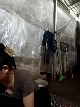 Na xx online show from 10/31/25, 04:02