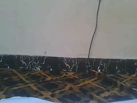 Naughty queen20 online show from 04/13/26, 07:47