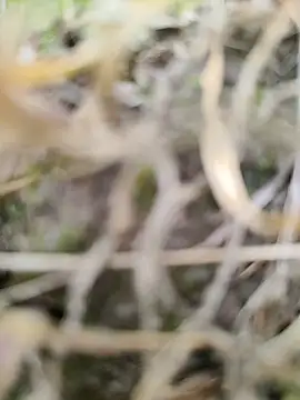 Snapshot of karandeep_Bhagat chatting on 03/26/26, 10:43 karandeep Bhagat online show from 03/26/26, 10:43