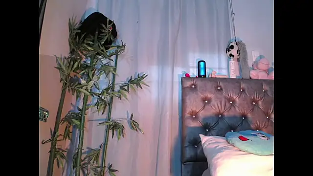 Jamadoll66 online show from 03/24/26, 05:07