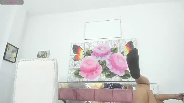 barbie ds online show from 11/21/25, 12:04