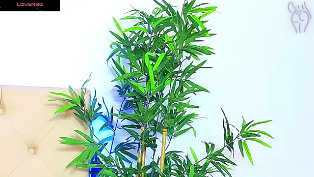 Snapshot of CoraVex chatting on 09/16/25, 06:03 CoraVex online show from 09/16/25, 06:03