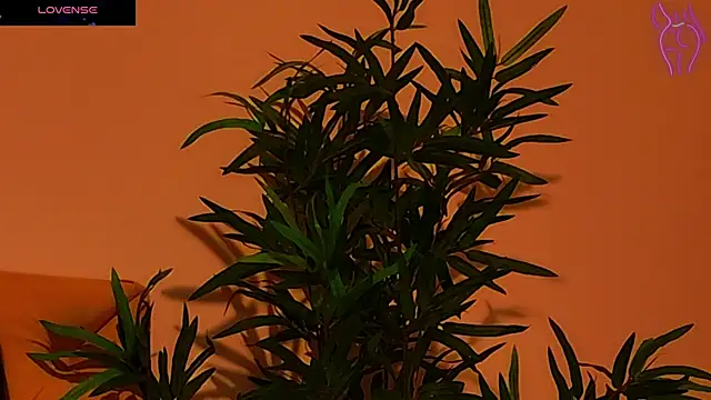 Snapshot of CoraVex chatting on 09/25/25, 04:27 CoraVex online show from 09/25/25, 04:27