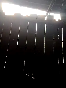 donna-bae online show from 10/10/25, 11:04