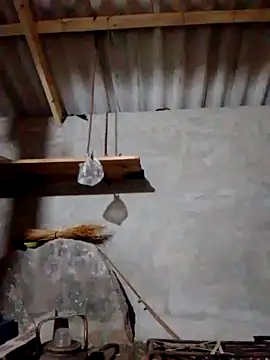 donna-bae online show from 10/26/25, 10:47