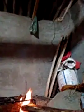 donna-bae online show from 11/18/25, 11:37