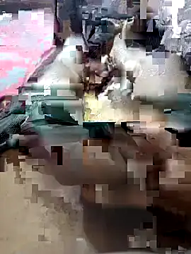 UnbowedAgronomy online show from 02/14/26, 10:50