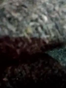 Snapshot of Hott_locky chatting on 12/13/25, 08:14 Hott locky online show from 12/13/25, 08:14