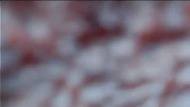 hsua0098 online show from 04/16/26, 10:34