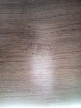 ValeriaLove43211 online show from 03/13/26, 06:31