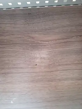 ValeriaLove43211 online show from 04/06/26, 07:53