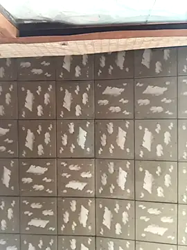 Snapshot of pualldu chatting on 11/23/25, 03:06 pualldu online show from 11/23/25, 03:06