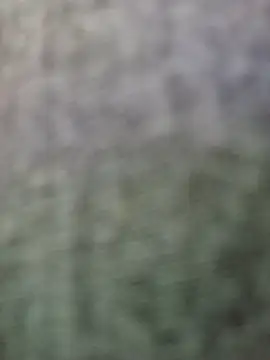 Snapshot of JeffersonRay chatting on 01/07/26, 01:52 JeffersonRay online show from 01/07/26, 01:52