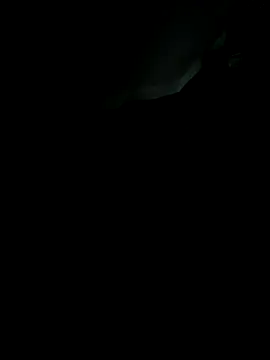 sebo801 online show from 09/18/25, 05:31