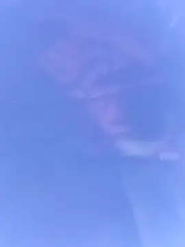 pussybebi online show from 03/16/26, 06:12