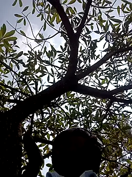 Snapshot of ipvk chatting on 03/02/26, 07:15 ipvk online show from 03/02/26, 07:15