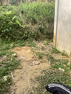 phuongxinhxan online show from 03/31/26, 01:40