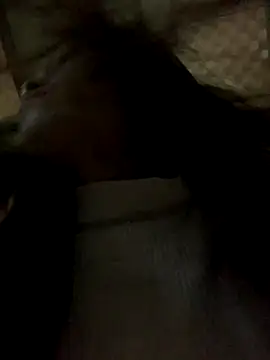 Halyy xx online show from 11/08/25, 11:36