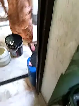 Snapshot of Cute-Charvii chatting on 03/08/26, 02:48 Cute-Charvii online show from 03/08/26, 02:48