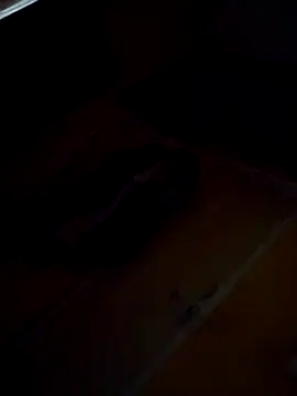 Sumitx007 online show from 09/24/25, 07:06