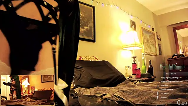 Snapshot of BashfulRouge chatting on 11/29/25, 04:54 BashfulRouge online show from 11/29/25, 04:54