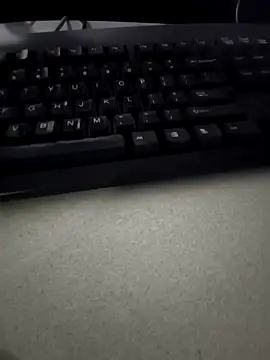 Snapshot of Punjabi27 chatting on 09/29/25, 08:57 Punjabi27 online show from 09/29/25, 08:57