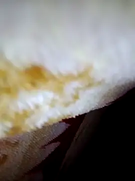 alone boy802 online show from 10/06/25, 04:15