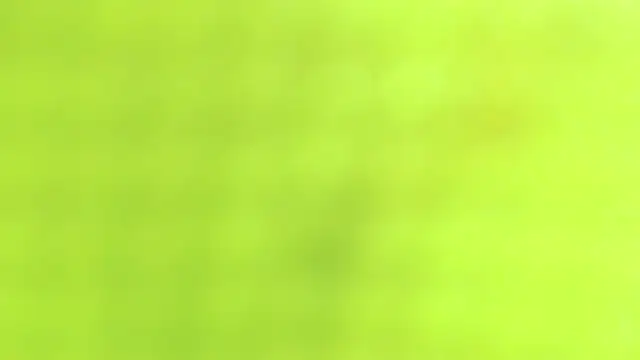 AnySugar online show from 09/23/25, 02:36