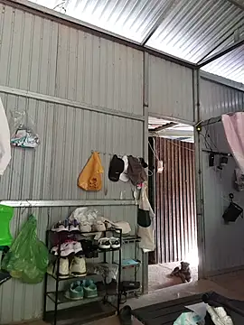 Helen-Tran online show from 12/17/25, 01:44