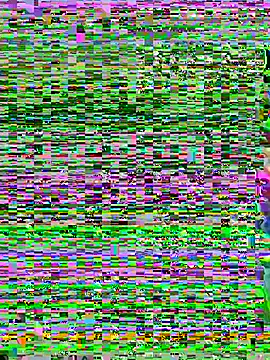 Snapshot of aoyo66 chatting on 11/05/25, 12:16 aoyo66 online show from 11/05/25, 12:16