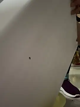 aoyo66 online show from 04/03/26, 11:19