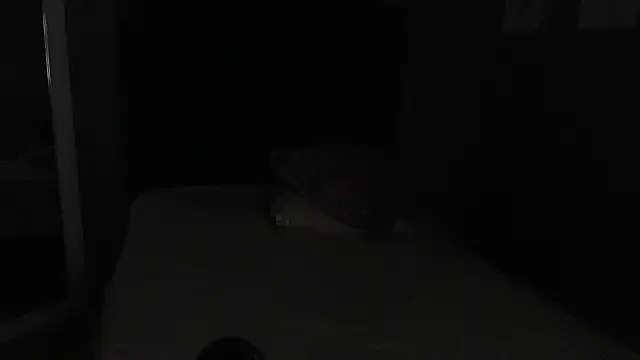 Vic Taylor online show from 11/07/25, 12:43