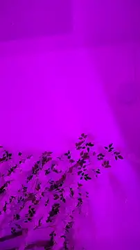 Snapshot of FelishaKitty chatting on 10/14/25, 12:00 FelishaKitty online show from 10/14/25, 12:00