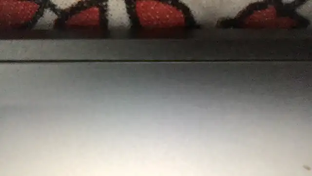 Snapshot of paula19800 chatting on 11/25/25, 06:19 paula19800 online show from 11/25/25, 06:19