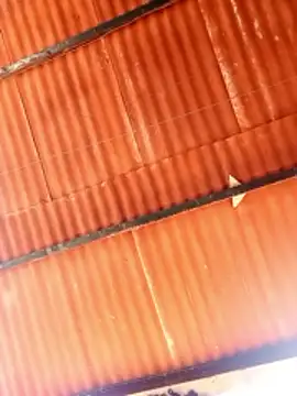 Snapshot of Goofygoody17 chatting on 02/08/26, 10:29 Goofygoody17 online show from 02/08/26, 10:29