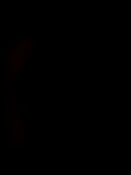 redrose520 online show from 11/12/25, 02:06