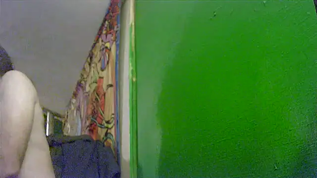 HippieDad333 online show from 11/25/25, 08:36