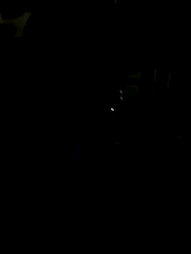 Snapshot of SecretFever chatting on 10/02/25, 07:43 SecretFever online show from 10/02/25, 07:43