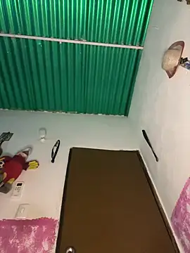 Snapshot of Pingasaboy20 chatting on 03/11/26, 09:21 Pingasaboy20 online show from 03/11/26, 09:21