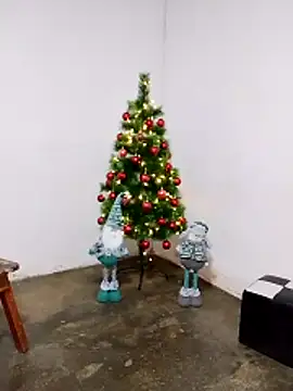 Snapshot of fabulousgirl chatting on 12/20/25, 04:41 fabulousgirl online show from 12/20/25, 04:41